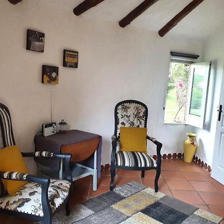 Le Clos D'Almide Monestier  Exterior foto